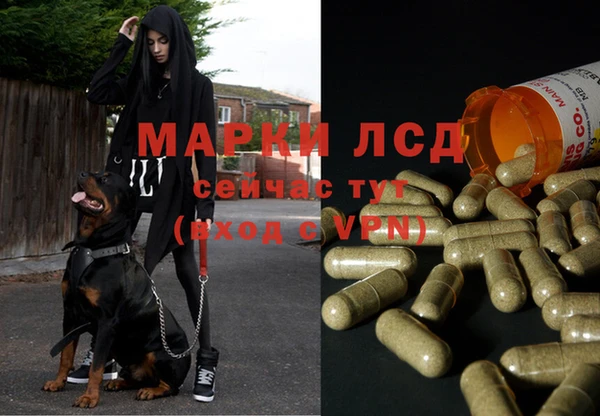 героин Ельня